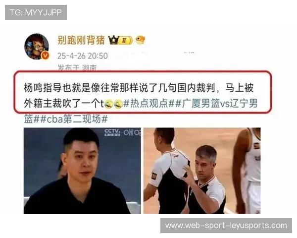 裁判视频回放争议 决定影响赛果引讨论，裁判看回放