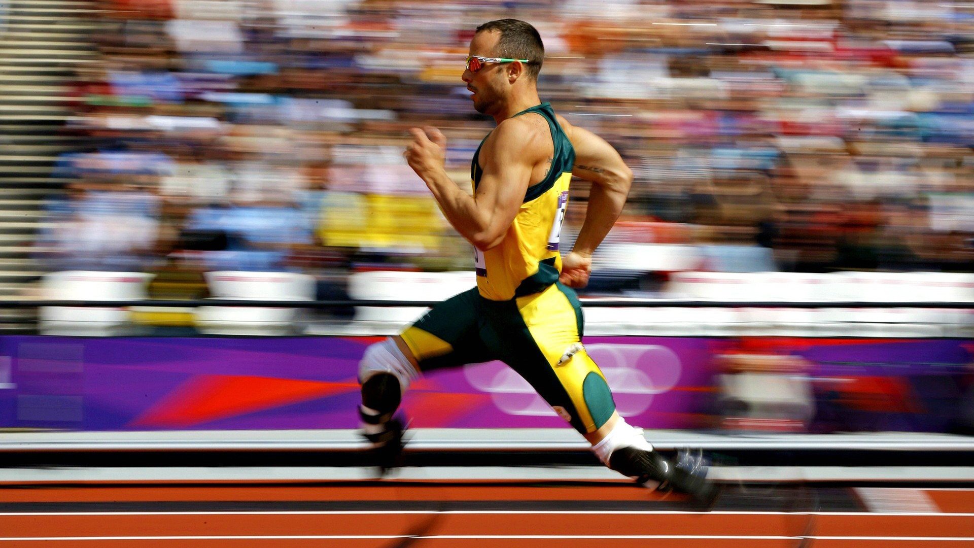 乐鱼游戏入口-体育新闻中心发布多语种赛事报道方案，体育赛事报道范文英文